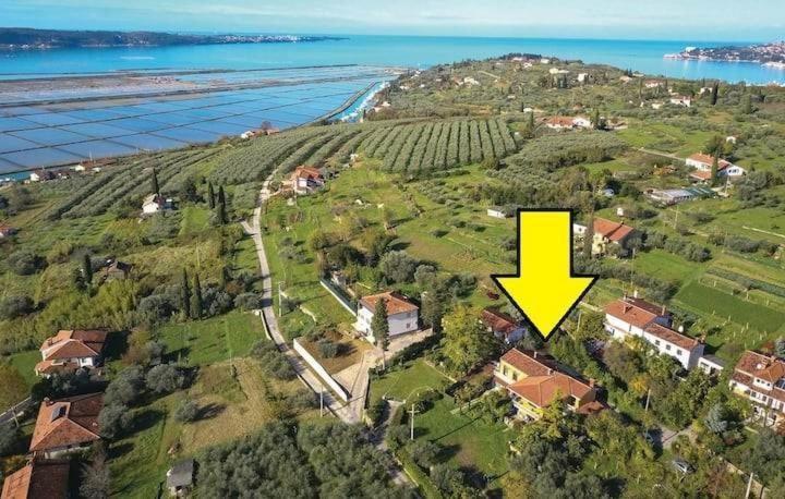 Vista Del Sal Daire Portorož Dış mekan fotoğraf